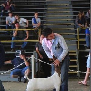 Meet your Posher, Jordan